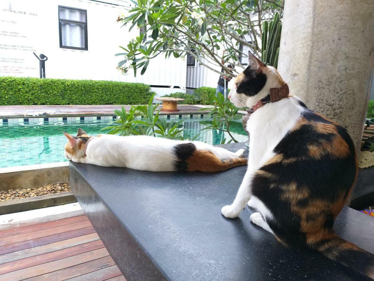Us Hostel Samui Bophut Luaran gambar